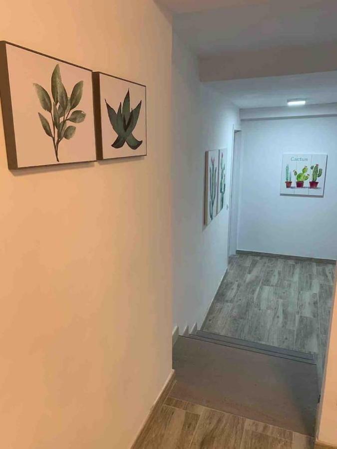 Casa Hana Lägenhet Mogán Exteriör bild